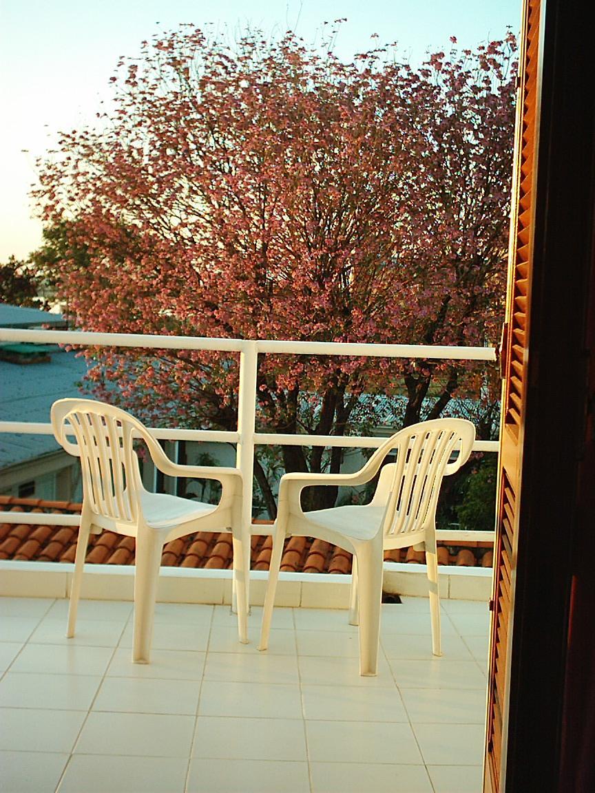 Hotel Palmas Del Sol อะซุนซิออง ภายนอก รูปภาพ
